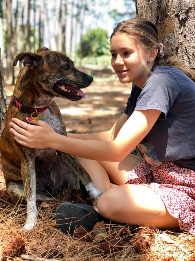 Апартаменты Beach Escape Magnesium Pool Dog Happy Gc Airport Голд-Кост Экстерьер фото